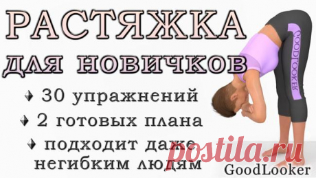 Растяжка для начинающих: 30 простых упражнений Здоровье опорно-двигательного аппарата крайне важно для самочувствия. Этим облегчается повседневная жизнь, поддерживается сила и молодость, снижается боль или дискомфорт в любых областях тела.
Для улу...