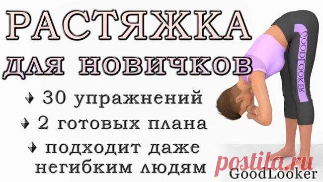 Растяжка для начинающих: 30 простых упражнений Здоровье опорно-двигательного аппарата крайне важно для самочувствия. Этим облегчается повседневная жизнь, поддерживается сила и молодость, снижается боль или дискомфорт в любых областях тела.
Для улу...