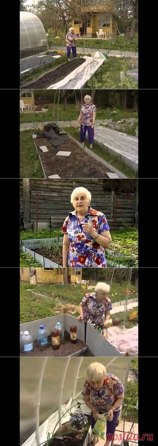 Галина Кизима, опыт, видео