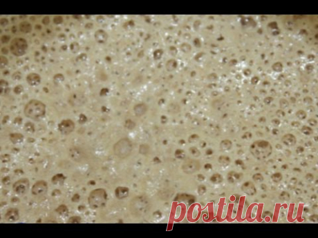 Закваска для хлеба булочек блинов и пирогов