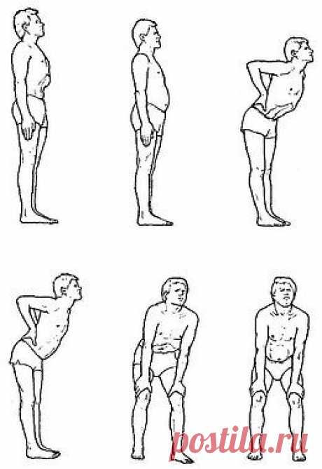 Йога | Yoga