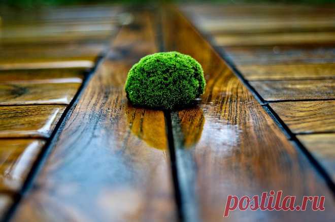 500px / Minimalism by Didier Jordana