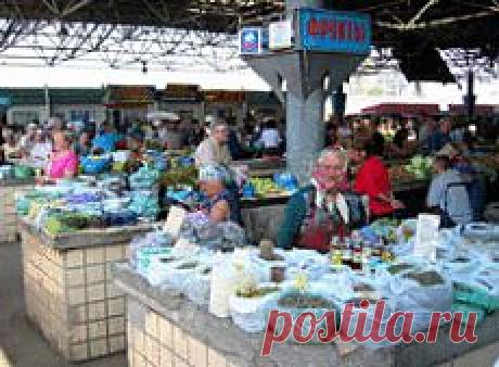 Как нужно выбирать и сохранять продукты? | Еда и кулинария