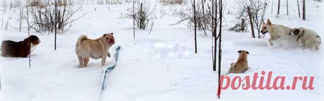 ГЛАВНАЯ /MAIN - Сайт schastlivaya-semeyka!