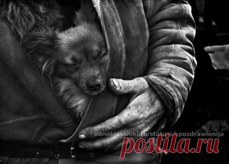 СТАТУСЫ и ПОЗДРАВЛЕНИЯ (Приколы, Юмор, Дети)