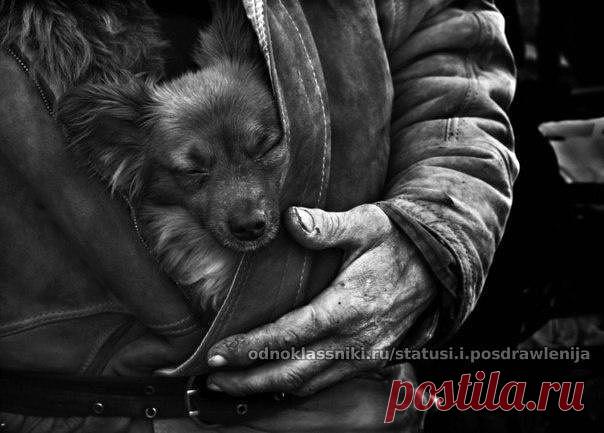 СТАТУСЫ и ПОЗДРАВЛЕНИЯ (Приколы, Юмор, Дети)