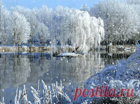 Бабульки рулят!