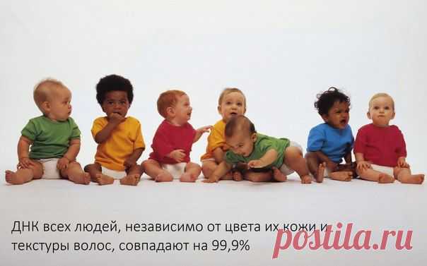 Мари Мышеловская