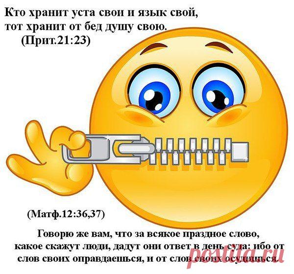 Фотоальбом «Мои фотографии» - Владимир, Санкт-Петербург, 51 год