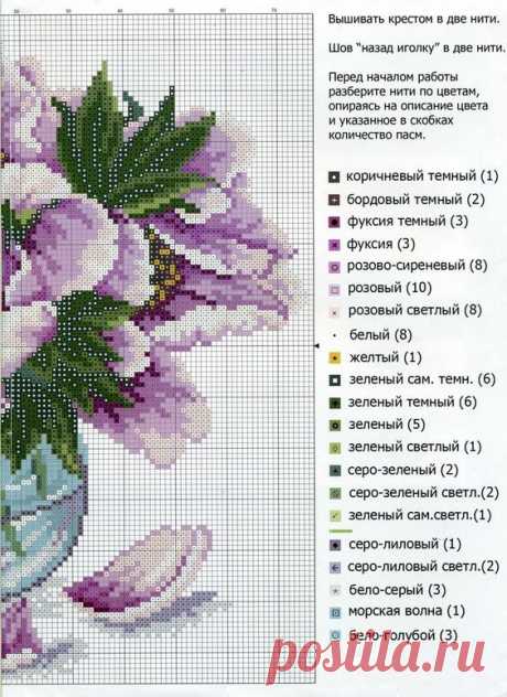 (13) Pinterest