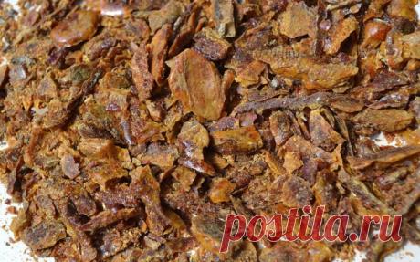 Лечебные свойства прополиса