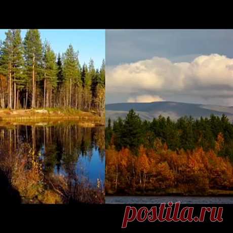 Тем, кто покинул север