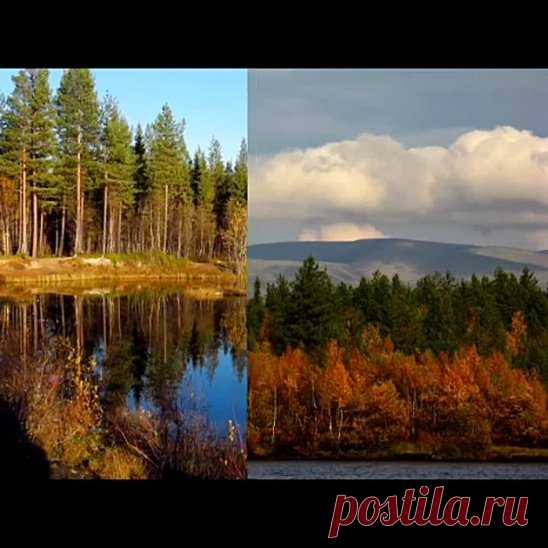 Тем, кто покинул север