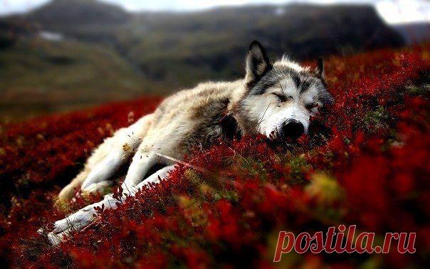 Психология ☯ Философия ☯ Эзотерика