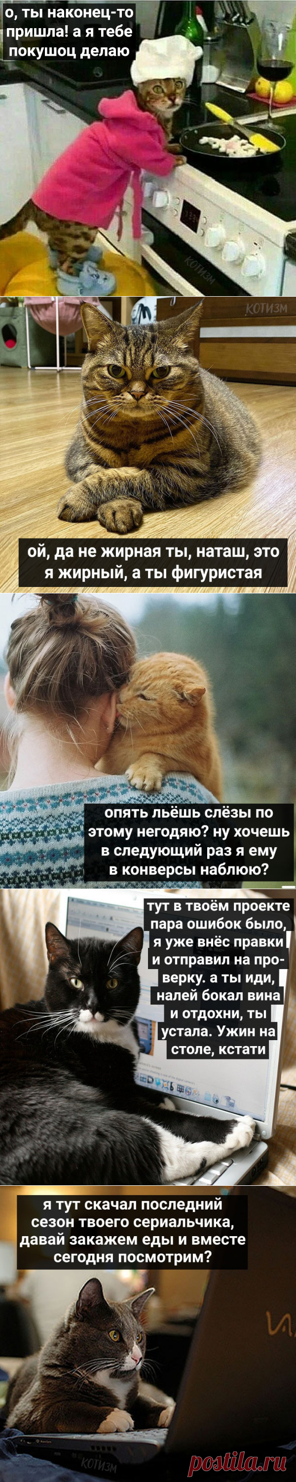 Иногда просто хочется прийти домой, а там тебя ждёт такой кот — Убойный юмор