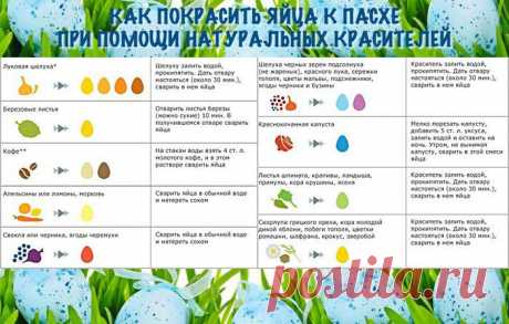 Красим яйца к Пасхе.