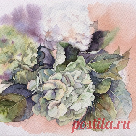 Зеленая гортензия.  #рисую_все_что_вижу #art #artwork #paint #painting #draw #drawing #watercolor #watercolorpainting #acuarela  #aquarelle #topcreator #art_we_inspire #process_of_creativity #акварель #гортензия #gydrangea