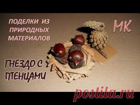 ГНЕЗДО С ПТЕНЦАМИ поделка из каштана и ореха