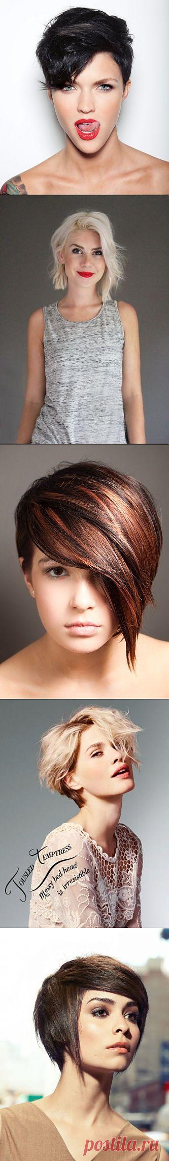 Коротко и модно: женские стрижки 2013 / Все для женщины
