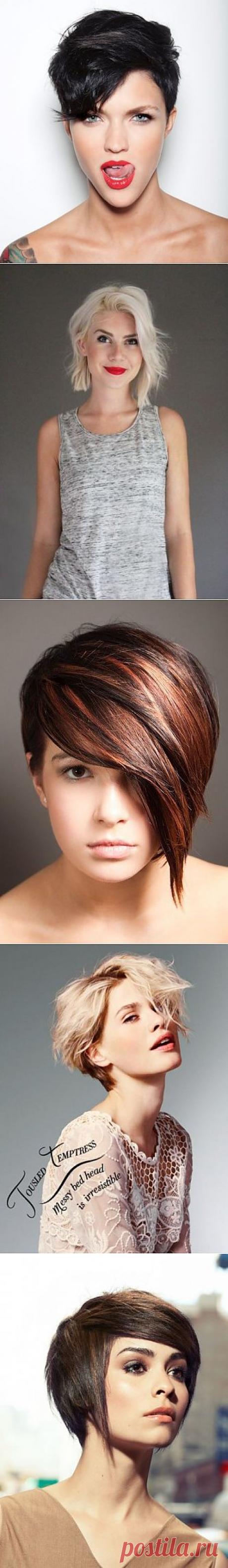 Коротко и модно: женские стрижки 2013 / Все для женщины