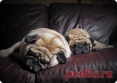 Стена | ВКонтакте