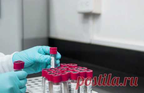 Болезнь Альцгеймера невозможно будет победить — Рамблер/доктор