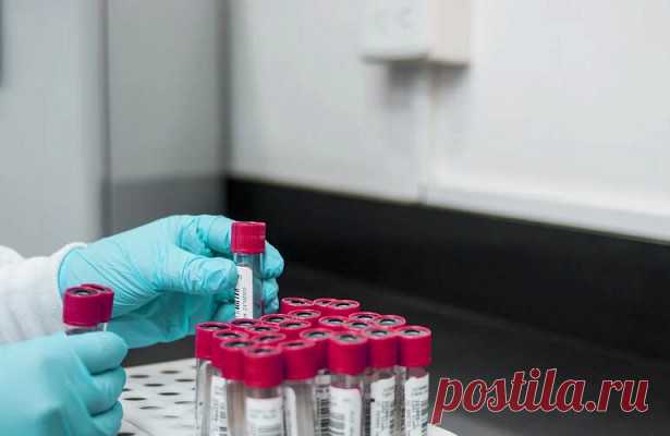 Болезнь Альцгеймера невозможно будет победить — Рамблер/доктор