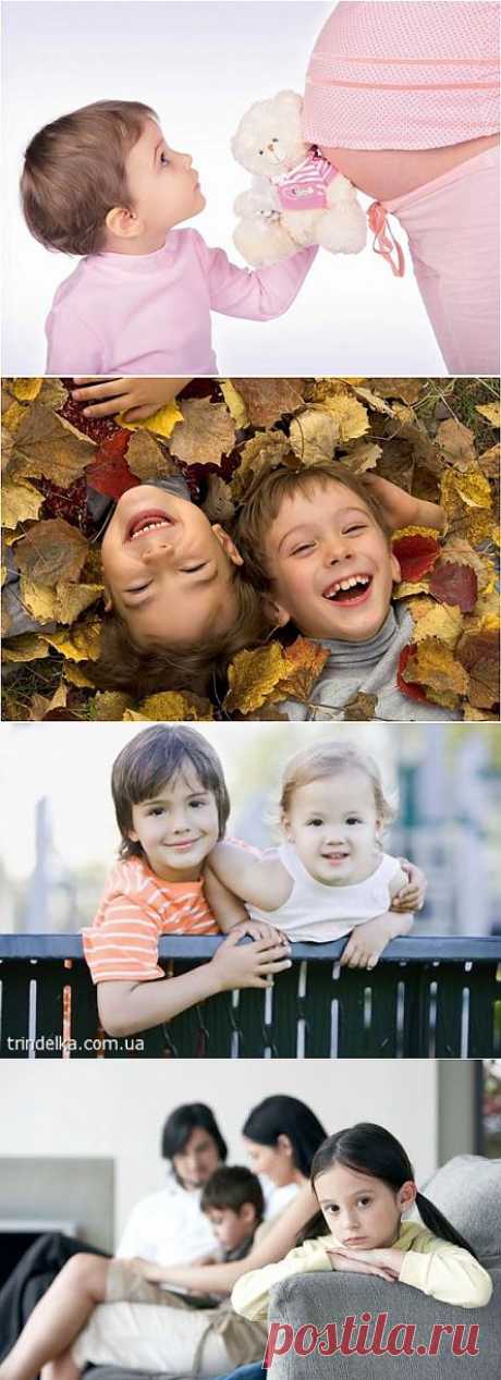 Аист снова стучится в ваш дом или когда нужно заводить второго ребенка? - Дайджест - Сайт увлеченных людей. RastiTrava.ru - Сайт увлеченных людей.