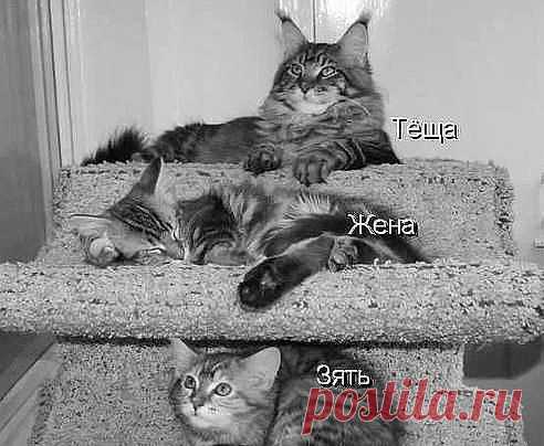 и так всегда