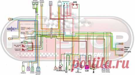 Как устроена проводка Honda Dio 34(35)Мастерская Pit_Stop | Мастерская Pit_Stop