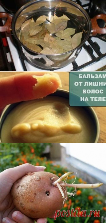 Сделала настойку из... картошки и забыла о суставах! Как мама подруги артрит вылечила - CELEBNIK. RU