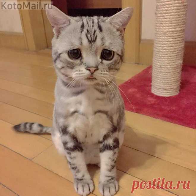 Когда же меня на кухню позовут?