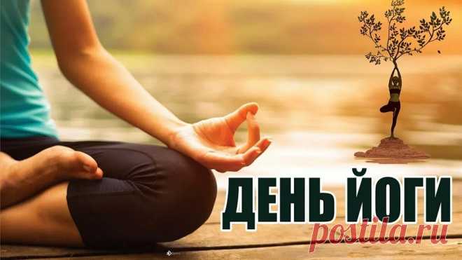 Дарит йога пусть здоровье,
Силы, крепость вам несет,
Равновесие по жизни
И гармонию дает.