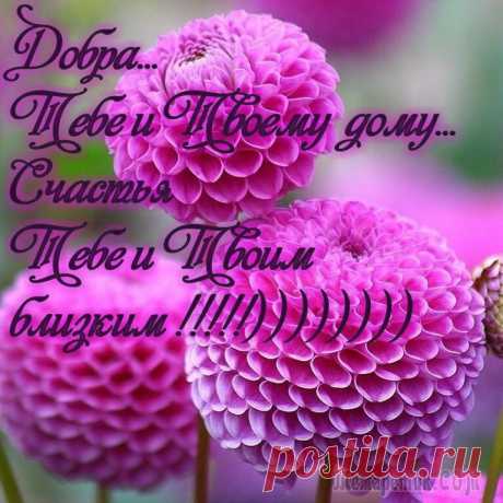 fullsize.jpg (Изображение JPEG, 768 × 768 пикселов)
