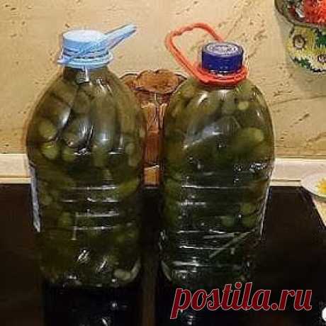 СОБЕСЕДНИК – Сообщество – Google+