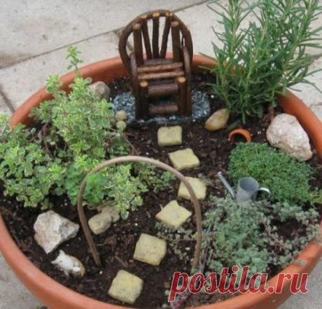 Создание мини-садов своими руками в горшках