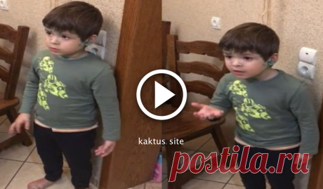 6-летний Илюша в шоке от поступка отца, и молчать он не намерен.  6-летний Илюша Гульченко из Кишинева, покорил интернет тем, что защищал случайно убитую отцом мышь. Видеоролик, опубликованный в Сети отцом ребенка Сергеем Гульченко, за трое суток набрал почти 2,5 м…