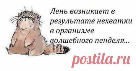 хх