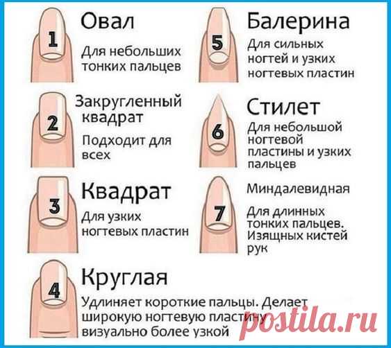 Маникюр по Фен-Шуй: 7 правил, значение пальцев, правильная форма, какие пальцы нужно выделять цветом, символами для привлечения, удачи, любви, здоровья, денег? Лучшие дизайны маникюра по Фен-Шуй: идеи, фото