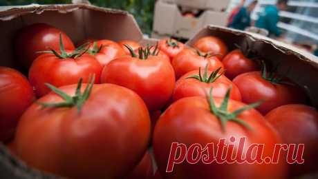Как сделать безвкусные магазинные помидоры вкусными: 3 варианта решения проблемы. Искусственные ароматизаторы мы использовать не будем.