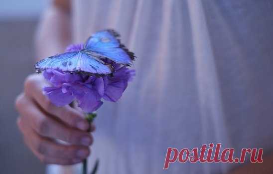 /Как же она называлась??? /
Как же она называлась, 
Эта людская мозоль, 
Та, что на крик отзывалась, 
Та, что предвидела боль? 
Что с этим миром такое? 
Солнце погасло от зла… 
Умерло что-то людское… 
Это она умерла… 
Как же она называлась? 
Нет, не припомню, а жаль… 
Помню, что всем улыбалась, 
Часто скрывала печаль… 
Над облаками порхала, 
Верила в солнечный свет… 
Людям чужим доверяла 
И помогала в ответ… 
Как же она называлась? 
Часто плевали в неё… 
Плакать она не стеснялась, 
Горе сжи