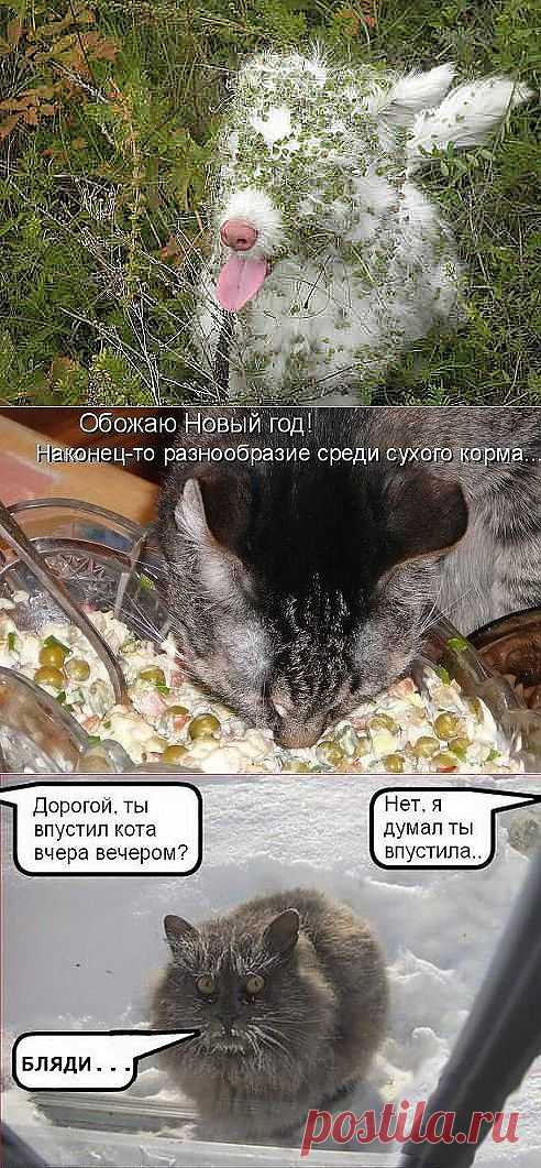 (50) Одноклассники