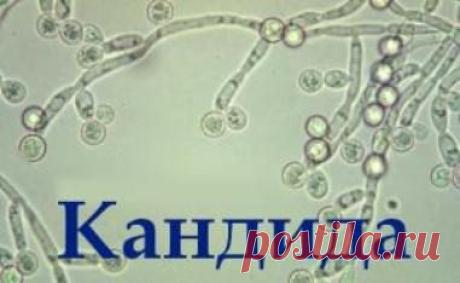 Наше здоровье