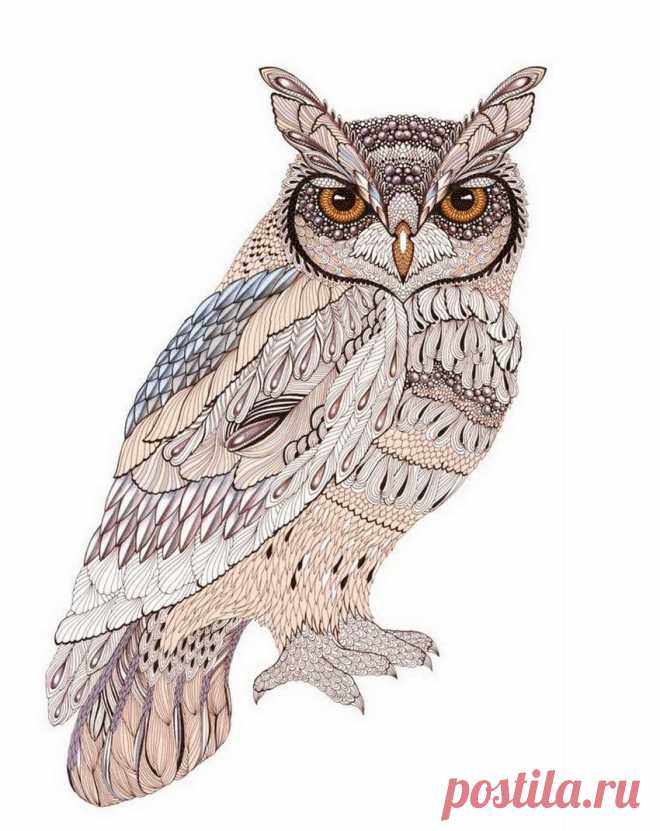 Совушки Ola Liola