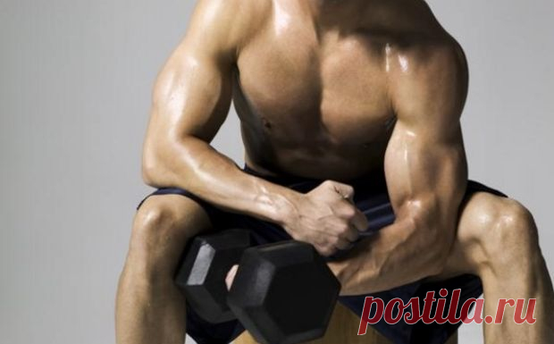 Биотин - витамин красоты и здоровья:Herb-Еco
Прием формул с биотином показан атлетам - при злоупотреблении гейнерами у них может возникнуть дисбаланс, связанный с дефицитом биотина. Биотин станет спасением при полной потере аппетита во время использования ими синтетических жиросжигающих препаратов.