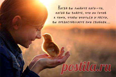 Когда вы любите кого-то, когда вы знаете, что он готов к тому, чтобы учиться и расти, вы предоставляете ему свободу