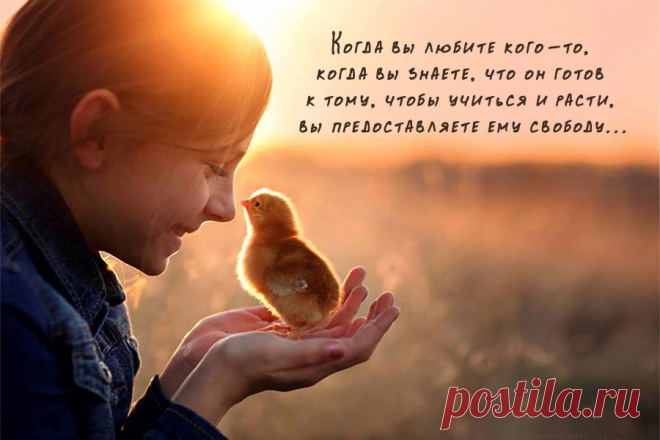 Когда вы любите кого-то, когда вы знаете, что он готов к тому, чтобы учиться и расти, вы предоставляете ему свободу