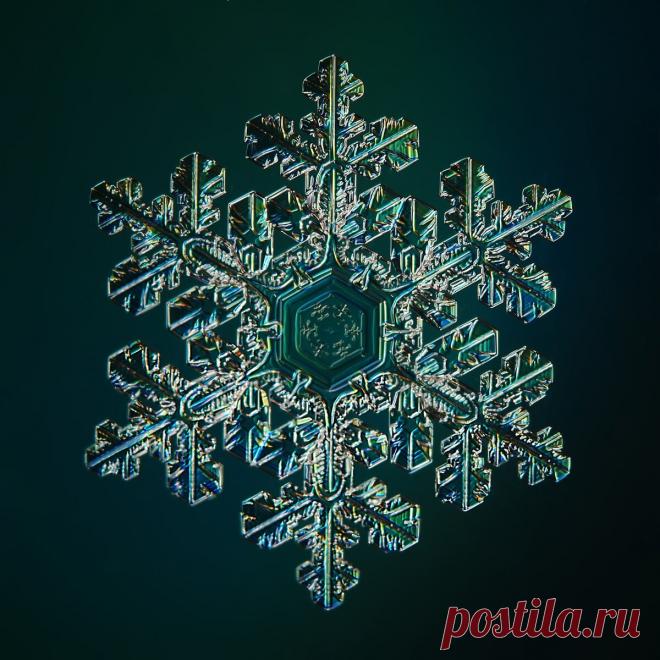 Не сразу поняла, как это снято: невероятной красоты снежинки (настоящие, сделано матушкой-природой и фотографом из Вологды) | Северяночка | Яндекс Дзен