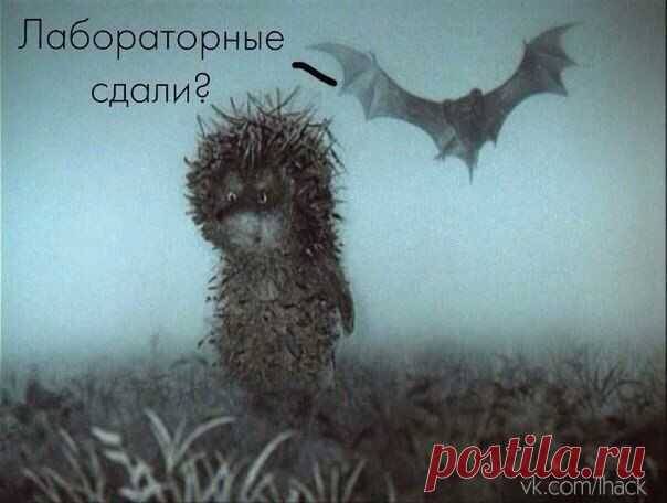 Лайфхак
