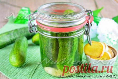 Имбирные огурцы - хрустящие, пикантные, вкусные – не сможете оттянуть за уши